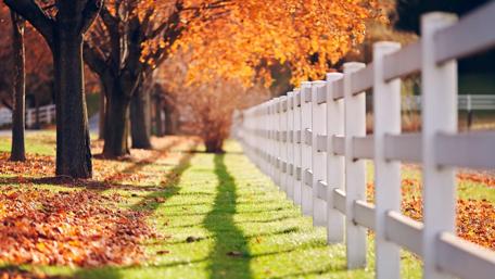 Autumn Serenity with a White Fence wallpaper