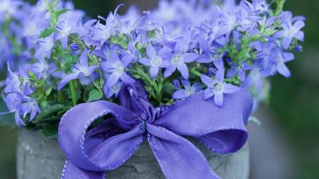 Blooming Beauty in Purple Shades wallpaper