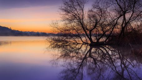 Tranquil Autumn Reflections at Twilight wallpaper