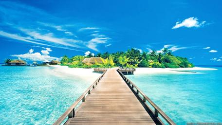 Beachfront Paradise Escape wallpaper