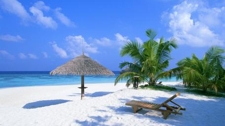Tropical Beach Paradise wallpaper