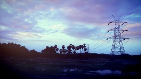 Electricity Meets Nature in Serenity wallpaper