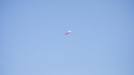 Dolphin in the Sky with a Balloon wallpaper