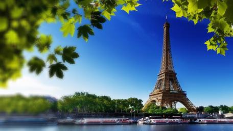 Eiffel Tower Serenity Under Blue Skies wallpaper