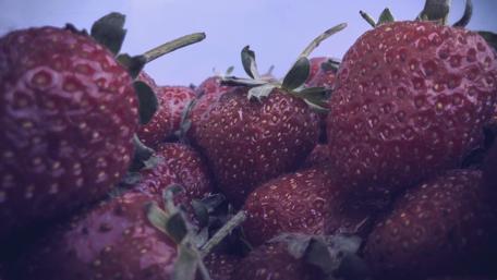 Juicy Summer Strawberries in 4K Quality wallpaper