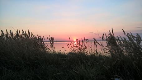 Tranquil Sunset Over Serene Lake wallpaper
