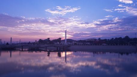 Purple Morning Serenity wallpaper
