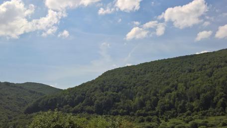 Lush Green Hills under a Serene Sky wallpaper