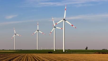 Energizing Nature with Wind Turbines wallpaper