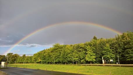 Vibrant Rainbow Over Lush Greenery wallpaper