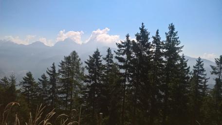 Majestic Mountain View with Lush Trees wallpaper