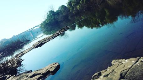 Tranquil Morning Waterscape wallpaper