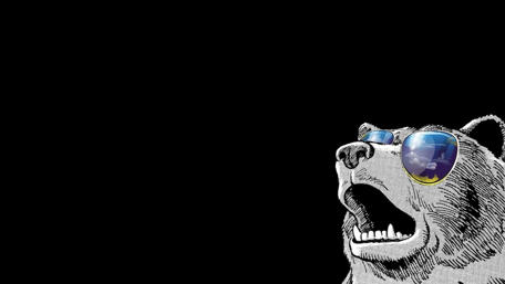 Cool Bear with Sunglasses Wallpaper wallpaper