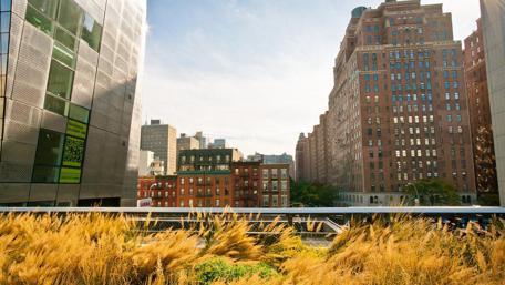 Urban Serenity in a Cityscape wallpaper