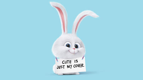 Adorable Bunny with a Secret Message wallpaper
