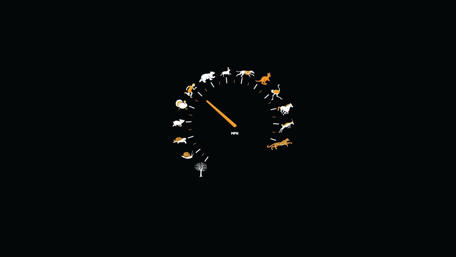 Funny speedometer wallpaper