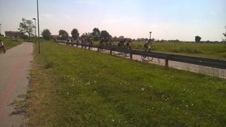 Cyclists Embracing Freedom on a Sunny Day wallpaper