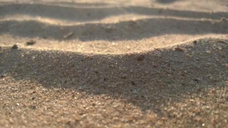 Gentle Waves of Sand in the Sunlight wallpaper