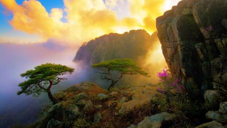 Majestic Cliffside Sunset Serenity wallpaper