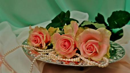 Elegant Roses with Pearls on a Silver Plate wallpaper