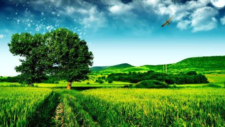 Tranquil Landscape with Lush Greenery and Clear Skies wallpaper