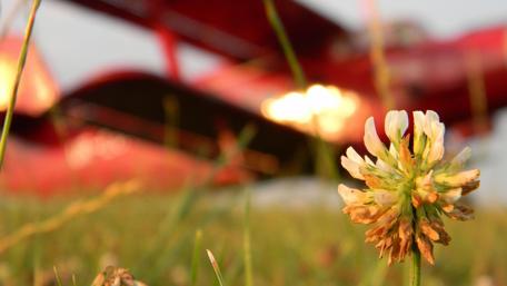 Wildflowers Against a Vintage Airplane Background wallpaper