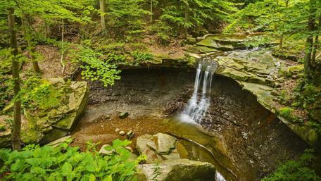 Serenity of a Hidden Forest Waterfall wallpaper