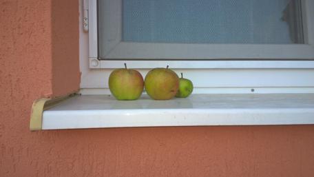 Fresh Apples on a Windowsill with Vibrant Background wallpaper