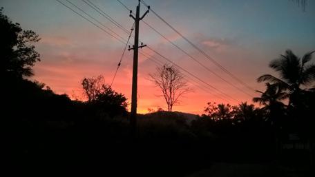 Serene Evening Glow in Nature wallpaper