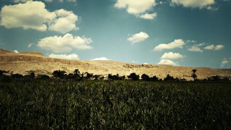 Serene Landscape Under Blue Skies wallpaper