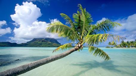 Tropical Paradise Beach Escape wallpaper