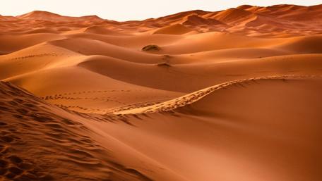 Endless Sands of the Desert Dreamscape wallpaper