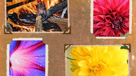 Nature's Vibrant Fantasy Collage wallpaper