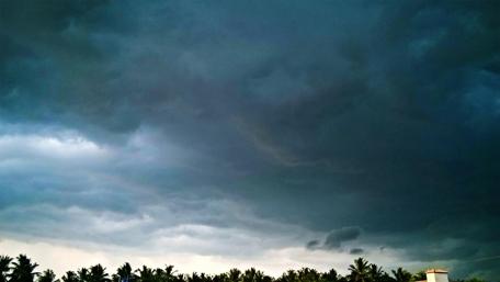 Dramatic Overcast Sky Above Lush Trees wallpaper
