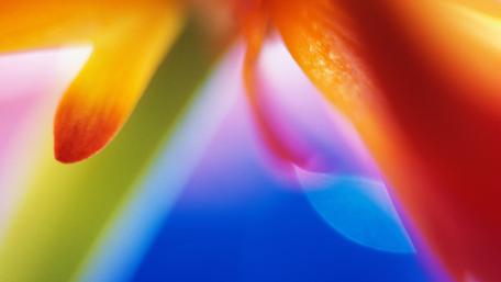 Vibrant Colors in Abstract Design wallpaper