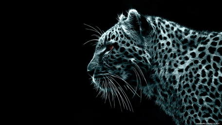 Glowing Leopard in Darkness wallpaper