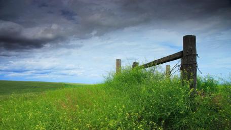 Lush Green Field Under Dramatic Skies wallpaper