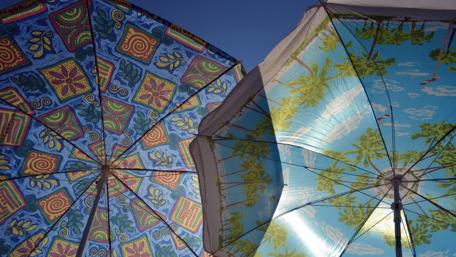 Vibrant Beach Umbrellas Under Clear Skies wallpaper