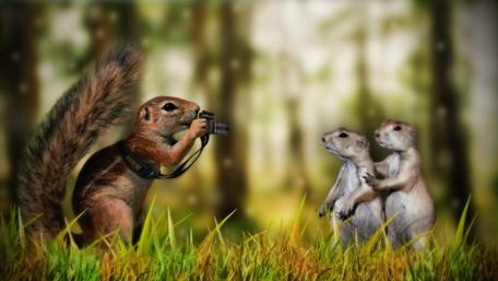 Squirrel Photographer Captures Prairie Life wallpaper