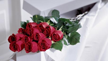 Elegant Red Roses on White Background wallpaper