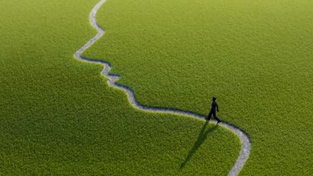 Journey Through a Dreamy Landscape of Reflection wallpaper