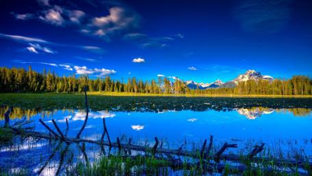 Serene Reflections of Nature's Beauty wallpaper