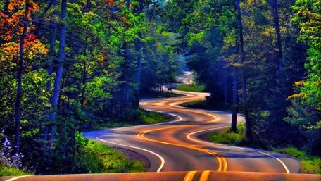 Winding Road Through a Forest Wonderland wallpaper