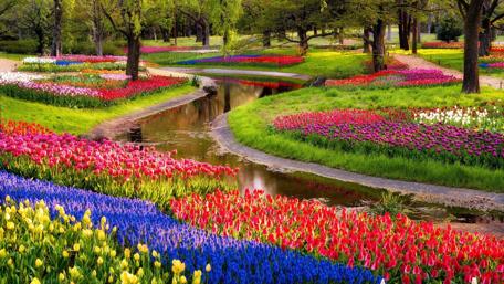 Springtime Splendor in Bloom wallpaper