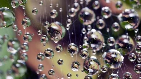 Glistening Dew on Spider Webs wallpaper