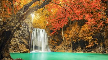 Autumn Serenity at the Waterfall wallpaper