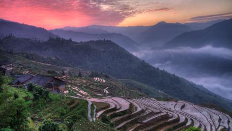 Serene Terraced Landscape at Dawn wallpaper