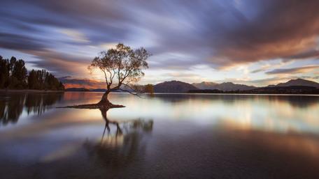 Serene Reflections of Nature's Beauty wallpaper