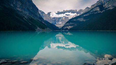 Serene Reflections of Nature's Beauty wallpaper