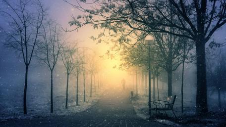 Misty Dawn in a Serene Park wallpaper